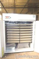 Egg incubator for EW-12 approved CE