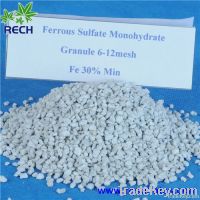 Ferrous Sulfate Monohydrate Granular