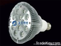 12W  LED PAR38  par lamp  spotlight