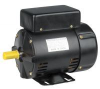 electric  motor