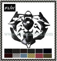 Carbon Fiber Motorcycle Parts