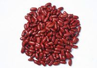 red kidney bean