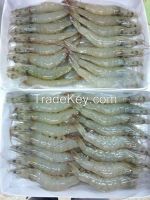 Shrimp