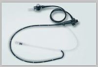 Video gastroscope