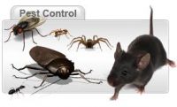 Termite Control, Termite Proofing