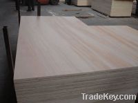 Full poplar plywood