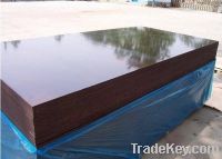 Brown film faced plywood