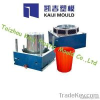 Plastic Bucket/Pail Mould