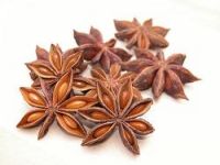StarAniseed
