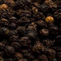 Black Pepper