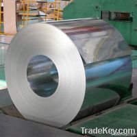 hot dip galvanized steel coil