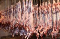 Halal Meat Supplier From Pakistan