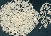 RICE SUPPLIER| PARBOILED RICE IMPORTERS | BASMATI