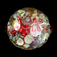 Sea Shell Baskets