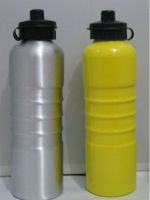 Stainless Steel Sport Bottle