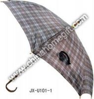 Rain Umbrella