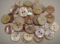 Seashell buttons