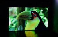Led Panels