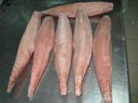 Frozen Tuna