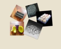 Plastic Food Tray From China