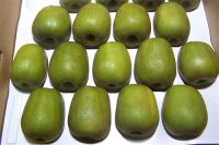 Organic Kiwi Fruit