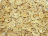 canned mushroom slices