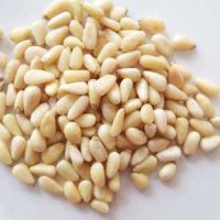 Chinese pine nut