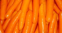 Carrot