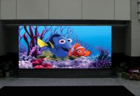 E-PH7.62indoor Full Color Display