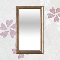 Mirror Frame