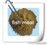 fish meal