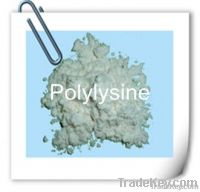 Polylysine