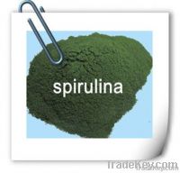 Spirulina