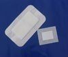 Wound Dressing Products