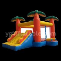 Inflatable Bouncer