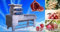 Pomegranate Peeling and processing  Machinery 008615238618639