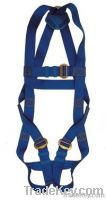 Safety harness