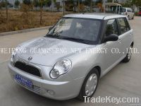 5 seats fashionalbe metal electric car