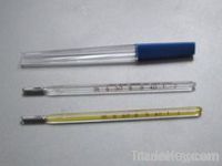 Medical Clinical Thermometer