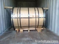 TISCO Stainless Steel Coil