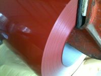 Prepainted Galnanized Steel Sheet