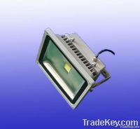 LED Flood Light