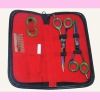 Professional Barbers Kit