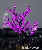 Newest  LED Cherry Light