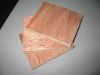 Bintagor plywood