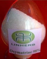 Oxymatrine 98