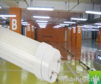 Low Price T8 LED Tube
