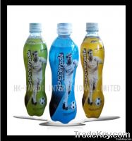 500ml Sport Drink