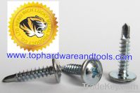 modified truss, wafer head self-drilling screw