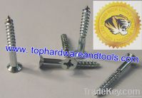 Countersunk Screw/Flat Head Self-Tapping Screw